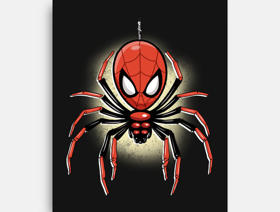 Webslinger From Queens
