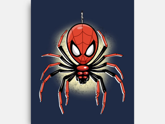 Webslinger From Queens