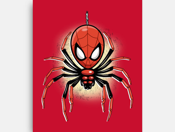 Webslinger From Queens