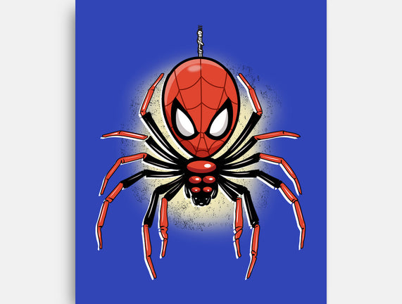 Webslinger From Queens