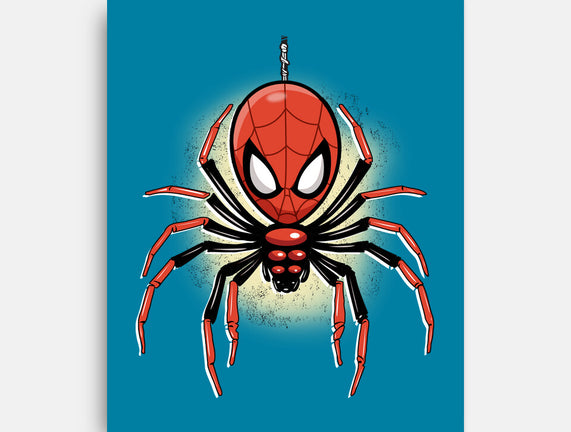 Webslinger From Queens
