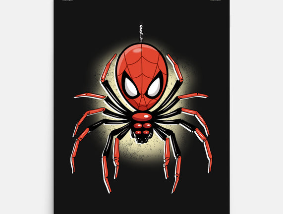 Webslinger From Queens