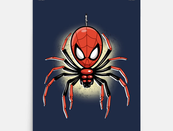 Webslinger From Queens