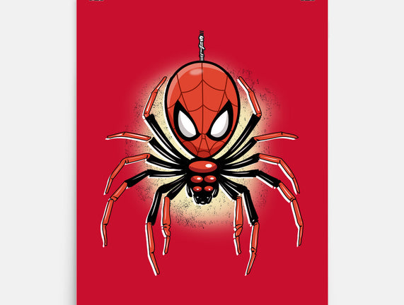 Webslinger From Queens