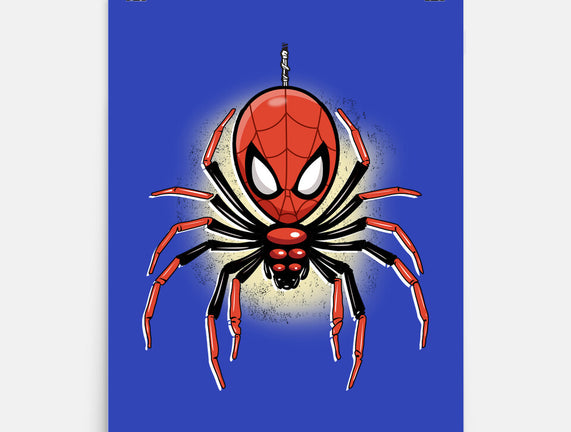 Webslinger From Queens