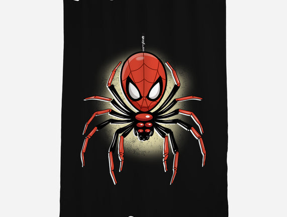 Webslinger From Queens