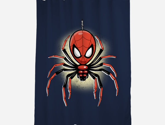 Webslinger From Queens