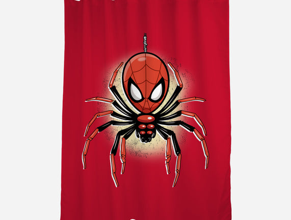 Webslinger From Queens
