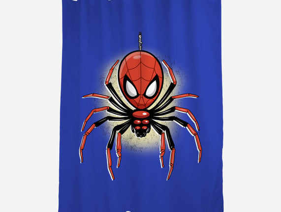 Webslinger From Queens