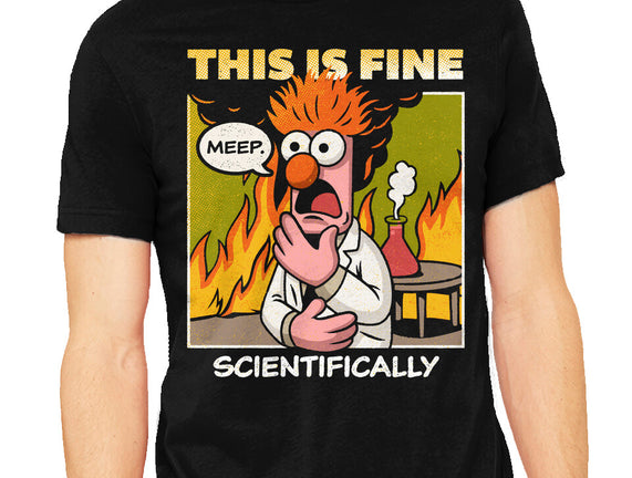 Scientifically Calculated Disaster