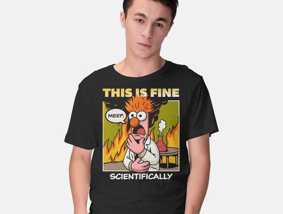 Scientifically Calculated Disaster