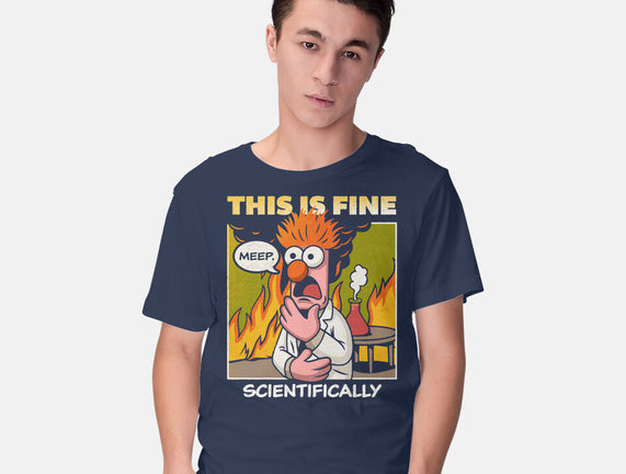 Scientifically Calculated Disaster