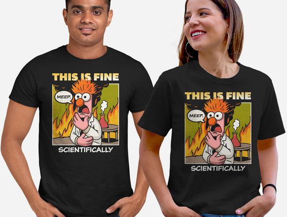 Scientifically Calculated Disaster