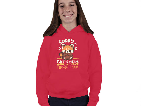 Sorry For The Accurate Things