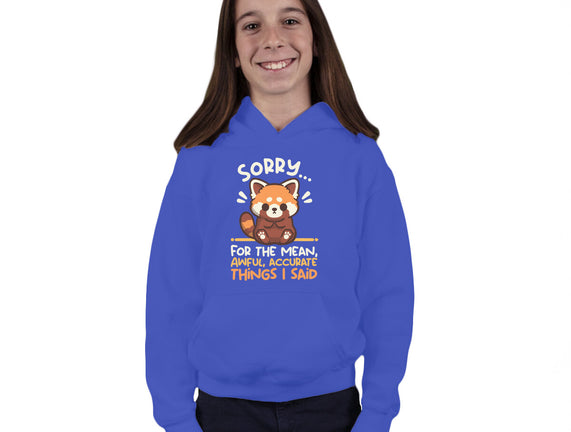 Sorry For The Accurate Things