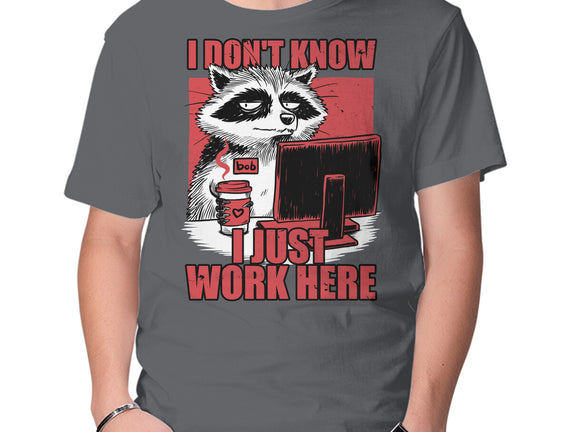 Raccoon Tired Work