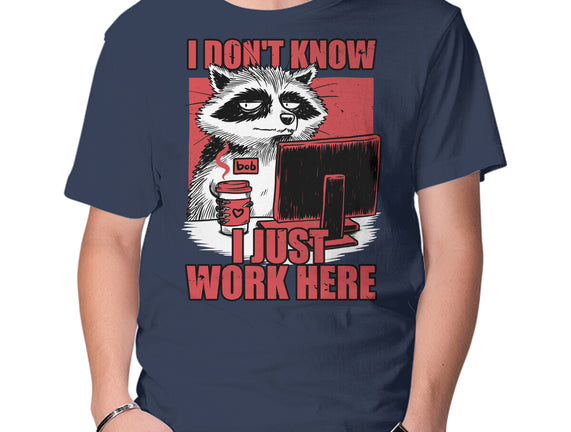Raccoon Tired Work