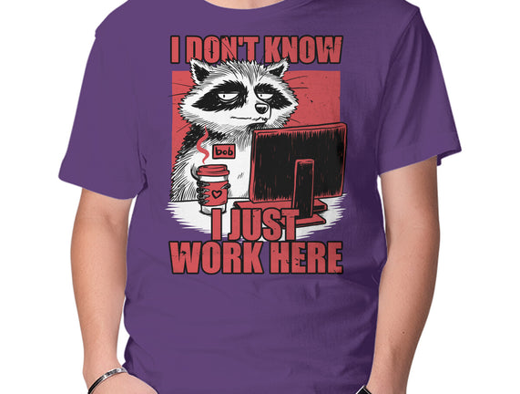 Raccoon Tired Work
