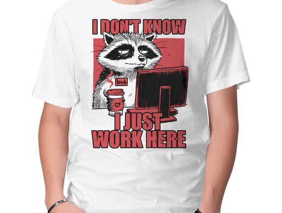 Raccoon Tired Work