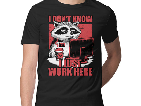 Raccoon Tired Work