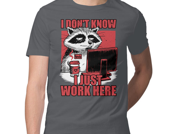 Raccoon Tired Work
