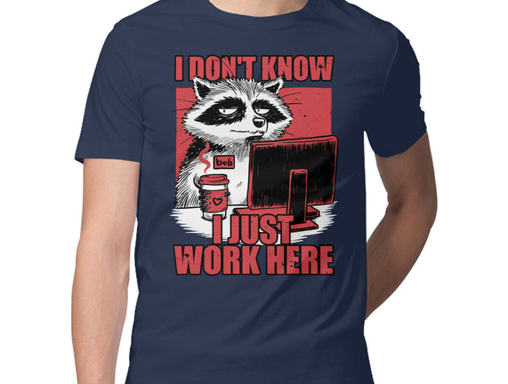 Raccoon Tired Work