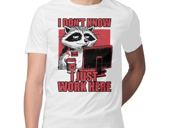 Raccoon Tired Work