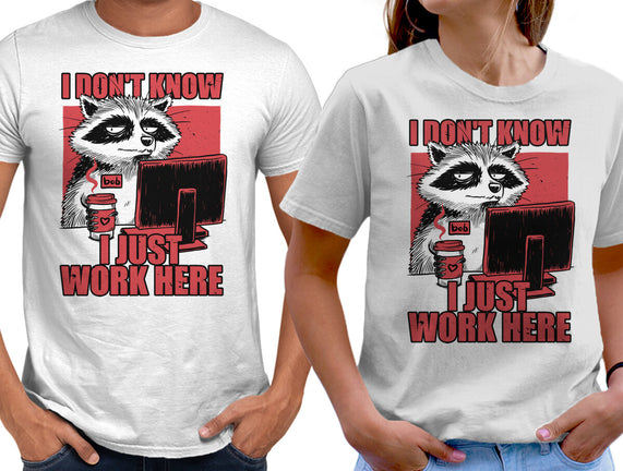 Raccoon Tired Work