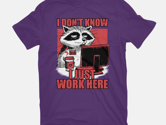 Raccoon Tired Work