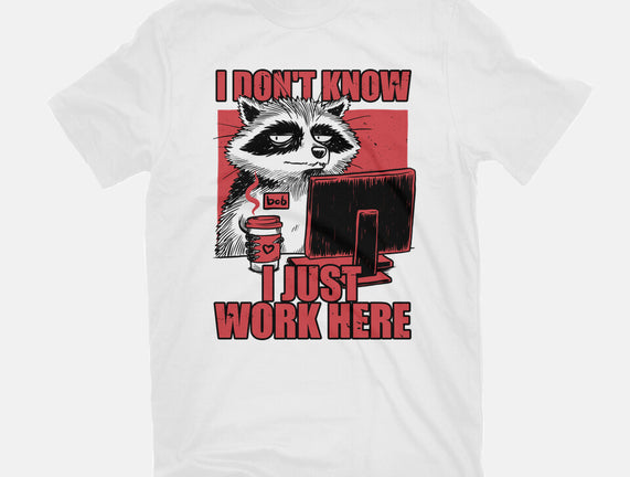 Raccoon Tired Work
