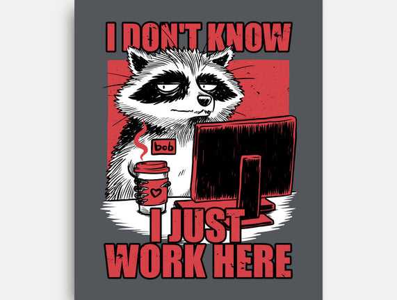 Raccoon Tired Work