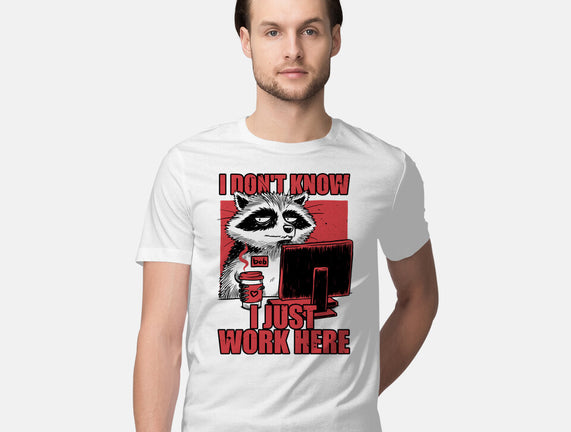 Raccoon Tired Work