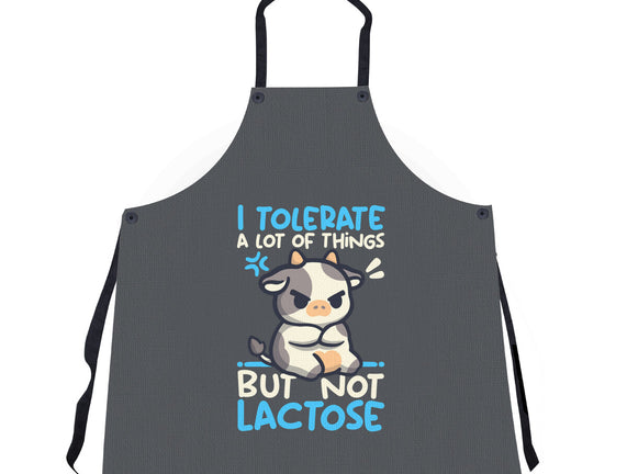 Cow Lactose Intolerant