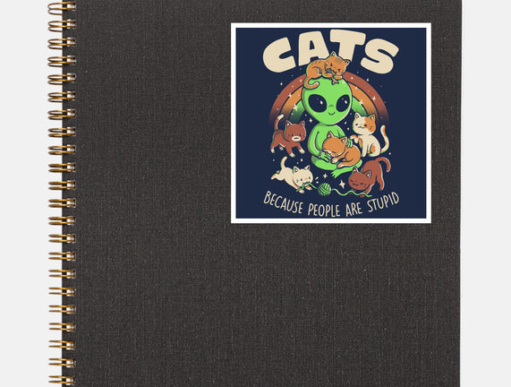 Cats Because People Are Stupid