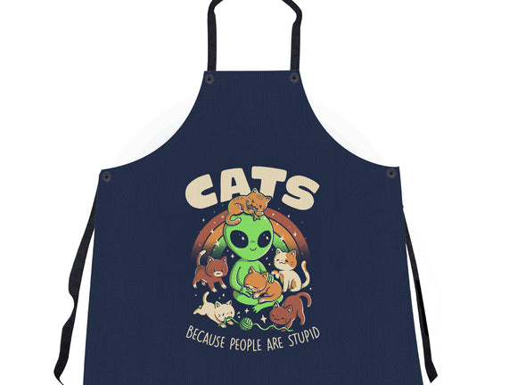 Cats Because People Are Stupid