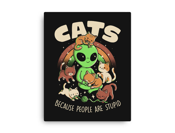 Cats Because People Are Stupid