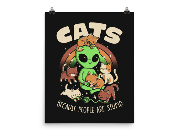Cats Because People Are Stupid