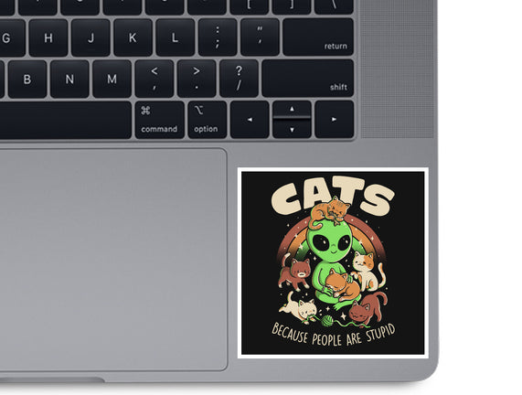 Cats Because People Are Stupid