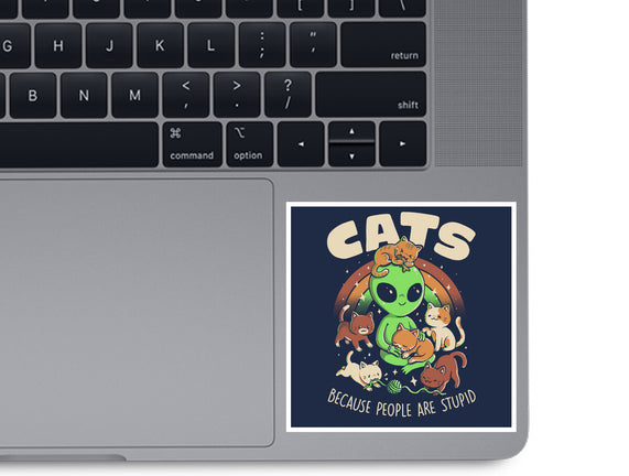 Cats Because People Are Stupid