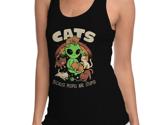 Cats Because People Are Stupid