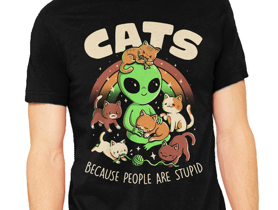 Cats Because People Are Stupid