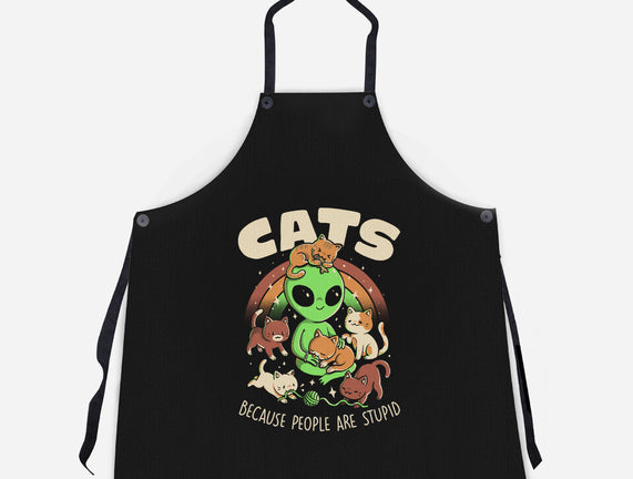 Cats Because People Are Stupid