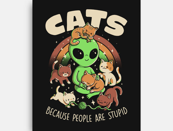 Cats Because People Are Stupid
