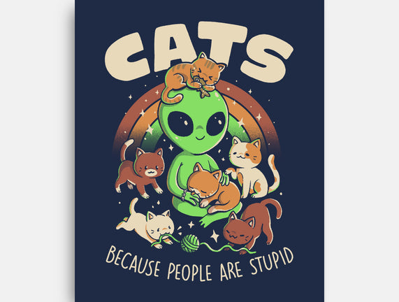 Cats Because People Are Stupid