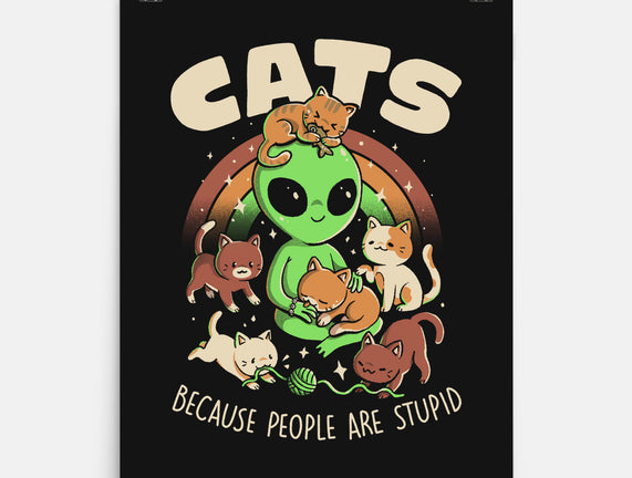 Cats Because People Are Stupid