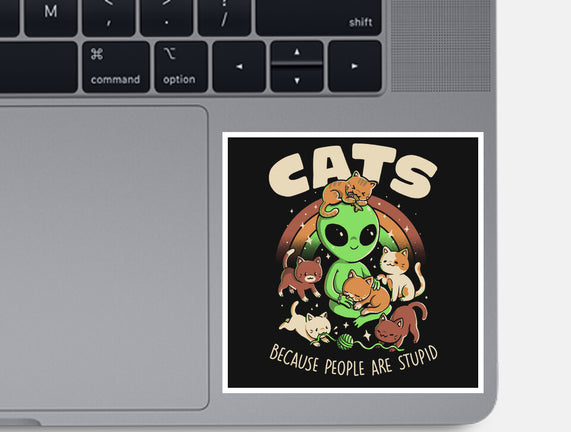 Cats Because People Are Stupid