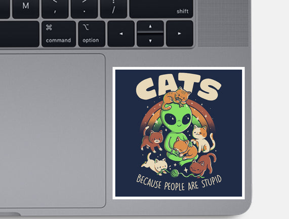 Cats Because People Are Stupid