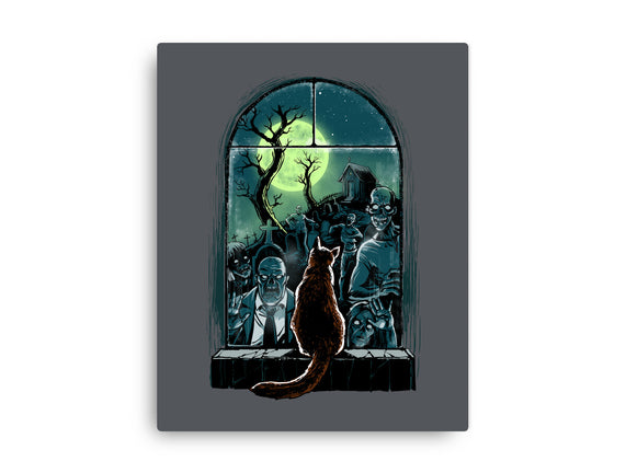 Watching The Zombies