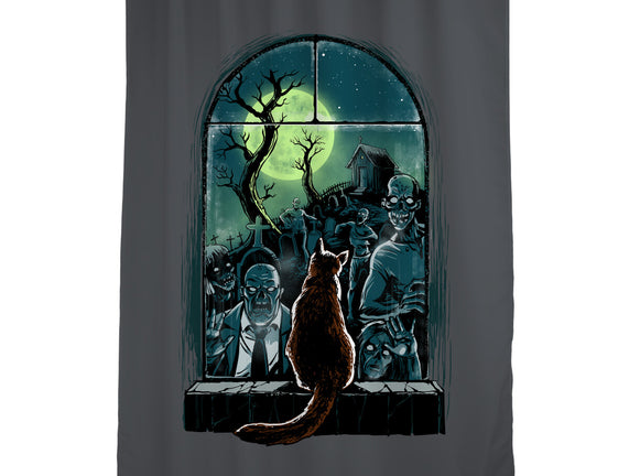 Watching The Zombies