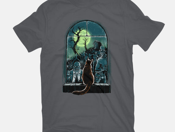 Watching The Zombies